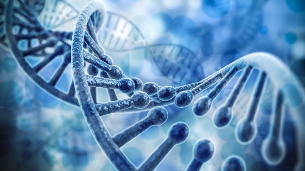 Top 10 Peptides for Longevity Research